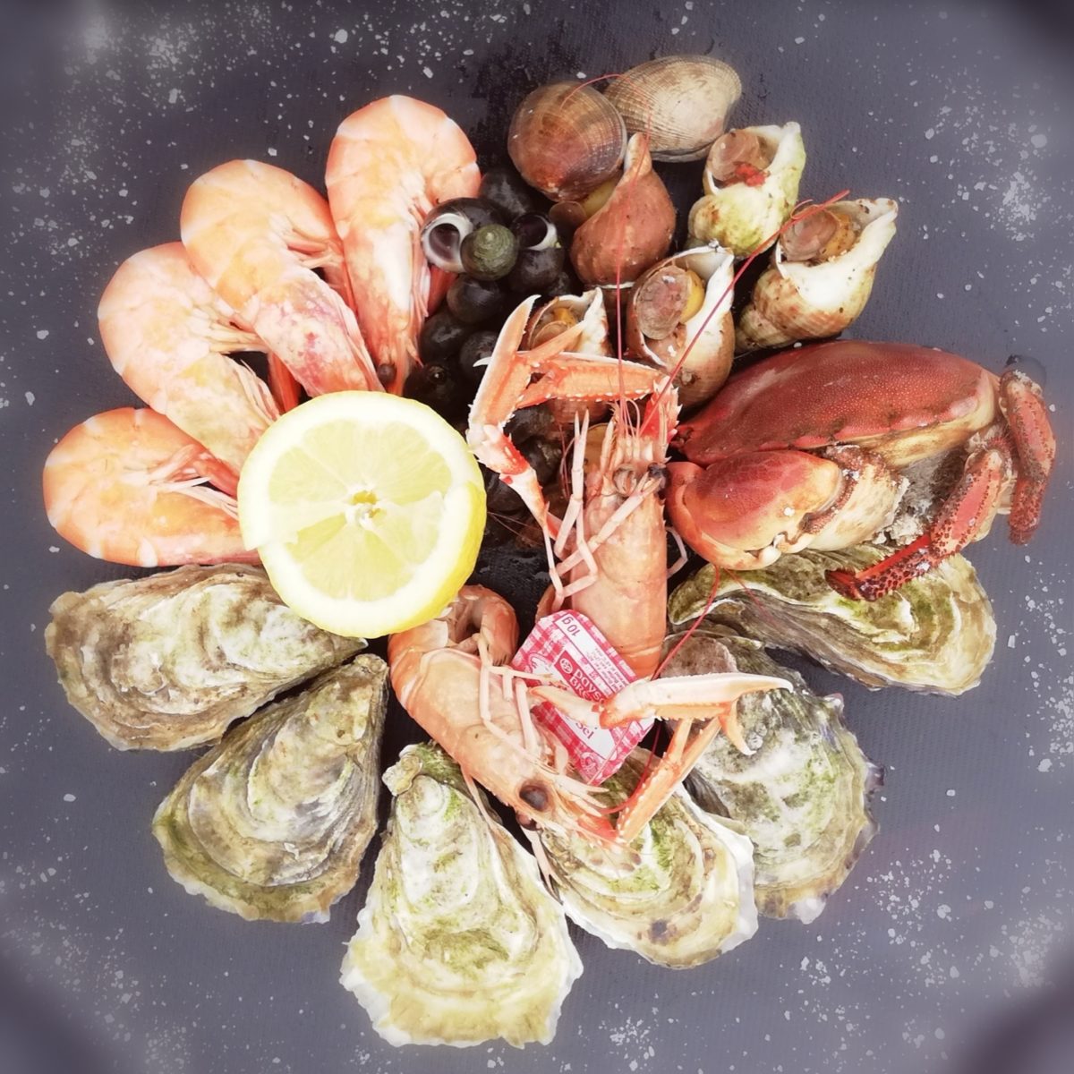 https://huitres-raymond.fr/wp-content/uploads/2019/07/la-pinasse-1200x1200.jpg